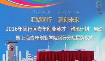 閔行雛鷹計劃大揭秘 信息系統集成服務下的青年創業者嶄露頭角之道